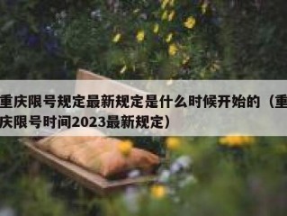 重庆限号规定最新规定是什么时候开始的（重庆限号时间2023最新规定）