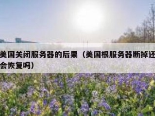 美国关闭服务器的后果（美国根服务器断掉还会恢复吗）