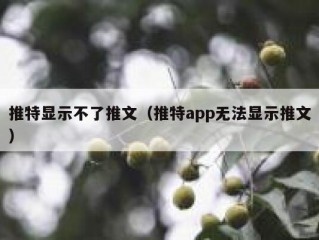 推特显示不了推文（推特app无法显示推文）