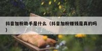 抖音加粉助手是什么（抖音加粉赚钱是真的吗）