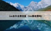 ins会不会费流量（ins要收费吗）