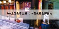 ins上怎么看全屏（ins怎么看全屏图片）