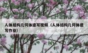 人体结构几何体速写视频（人体结构几何体速写作业）