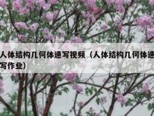 人体结构几何体速写视频（人体结构几何体速写作业）