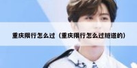 重庆限行怎么过（重庆限行怎么过隧道的）