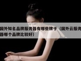 国外知名品牌服务器有哪些牌子（国外云服务器哪个品牌比较好）