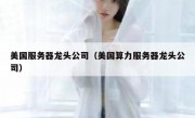 美国服务器龙头公司（美国算力服务器龙头公司）