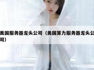 美国服务器龙头公司（美国算力服务器龙头公司）