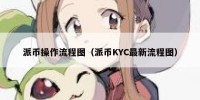 派币操作流程图（派币KYC最新流程图）