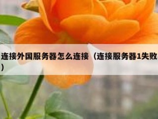 连接外国服务器怎么连接（连接服务器1失败）