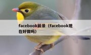 facebook前景（facebook现在好做吗）
