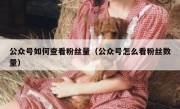 公众号如何查看粉丝量（公众号怎么看粉丝数量）