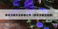 派币注册方法有哪几种（派币注册流程图）