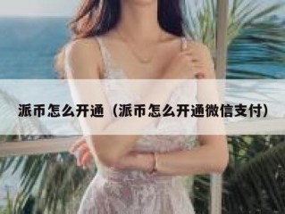 派币怎么开通（派币怎么开通微信支付）