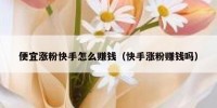 便宜涨粉快手怎么赚钱（快手涨粉赚钱吗）