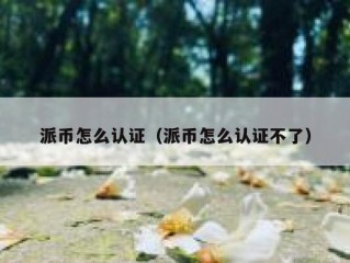 派币怎么认证（派币怎么认证不了）