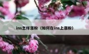ins怎样涨粉（如何在ins上涨粉）