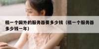 租一个国外的服务器要多少钱（租一个服务器多少钱一年）