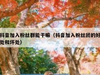 抖音加入粉丝群能干嘛（抖音加入粉丝团的好处和坏处）