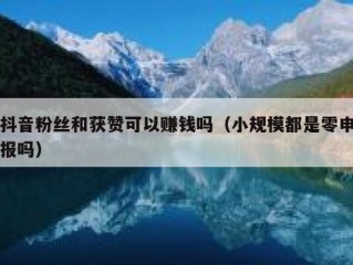 抖音粉丝和获赞可以赚钱吗（小规模都是零申报吗）