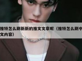 推特怎么刷新新的推文文章呢（推特怎么刷中文内容）