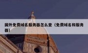 国外免费域名服务器怎么查（免费域名和服务器）