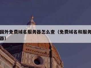 国外免费域名服务器怎么查（免费域名和服务器）
