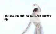 派币登入流程图片（派币app在中国被关了吗）
