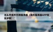 怎么开海外代理服务器（海外服务器APP安装步骤）