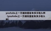 youtube上一万播放量能有多少收入啊（youtube上一万播放量能有多少收入啊）