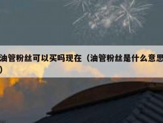 油管粉丝可以买吗现在（油管粉丝是什么意思）