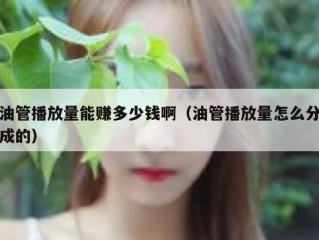 油管播放量能赚多少钱啊（油管播放量怎么分成的）