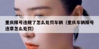 重庆限号违规了怎么处罚车辆（重庆车辆限号违章怎么处罚）