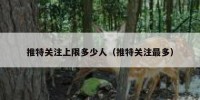 推特关注上限多少人（推特关注最多）