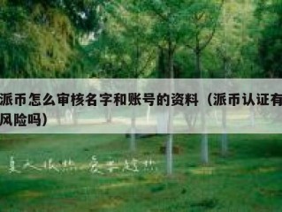 派币怎么审核名字和账号的资料（派币认证有风险吗）