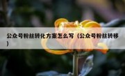 公众号粉丝转化方案怎么写（公众号粉丝转移）