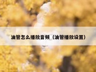 油管怎么播放音频（油管播放设置）