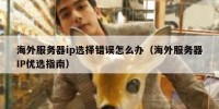 海外服务器ip选择错误怎么办（海外服务器IP优选指南）