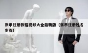 派币注册教程视频大全最新版（派币注册姓名步骤）