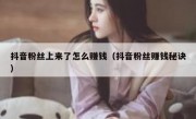 抖音粉丝上来了怎么赚钱（抖音粉丝赚钱秘诀）