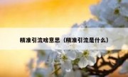 精准引流啥意思（精准引流是什么）
