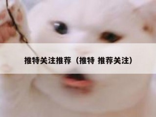 推特关注推荐（推特 推荐关注）