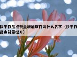 快手作品点赞量增加软件叫什么名字（快手作品点赞量提升）