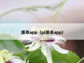 派币app（pi派币app）