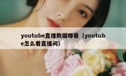youtube直播数据哪看（youtube怎么看直播间）