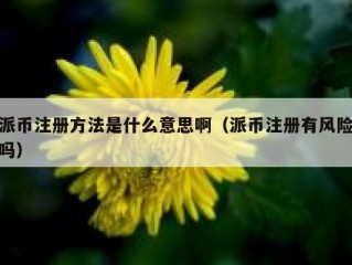 派币注册方法是什么意思啊（派币注册有风险吗）
