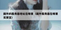 国外的服务器地址在哪里（国外服务器在哪里买便宜）