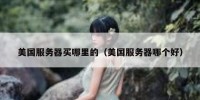 美国服务器买哪里的（美国服务器哪个好）