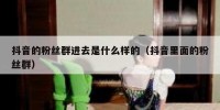 抖音的粉丝群进去是什么样的（抖音里面的粉丝群）