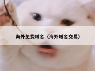 海外免费域名（海外域名交易）